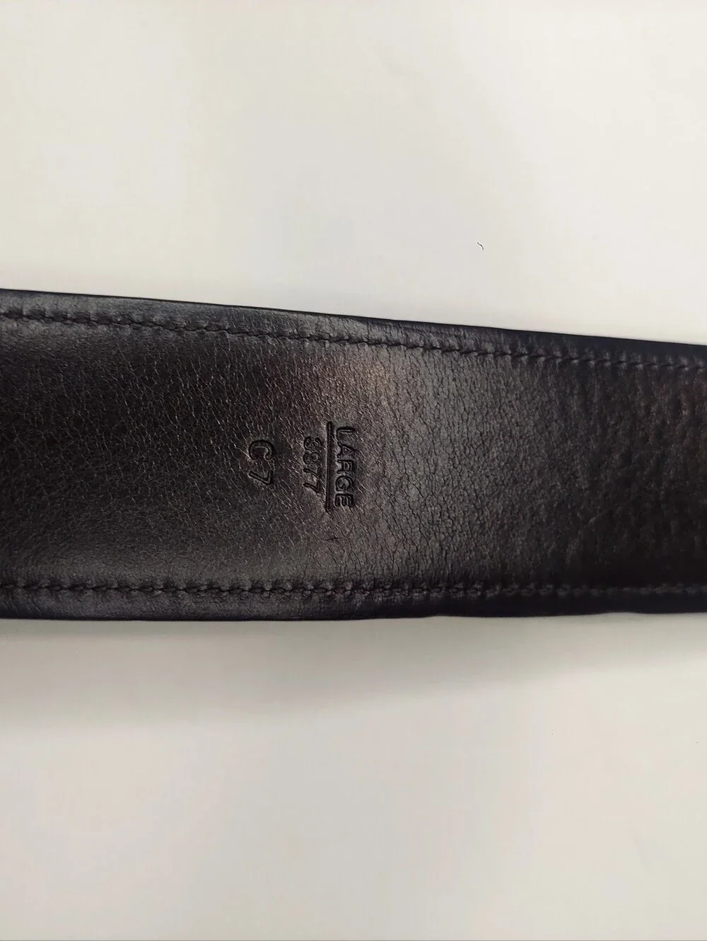 Coach Signature Canvas Belt